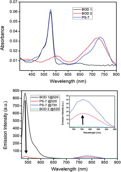 The absorption spectra of compounds BOD1, BOD2, and PS-7 at equal absorbance values at 527 nm (for BOD1 and PS-7) and at 725 nm (BOD2 and PS-7) (top) and emission spectra of the energy transfer cassette (PS-7) in CHCl3 (bottom) in comparison to the selected reference compounds.