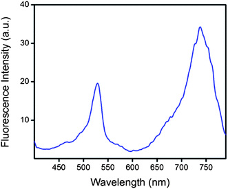 
            Excitation spectrum of PS-7. Emission data were collected at 781 nm with an optically dilute solution in CHCl3.