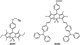 Structures of model compounds; BOD1 and BOD2.
