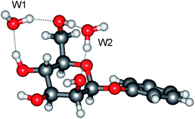 Molecular structure of the di-hydrate, β-PhMan·(H2O)2.