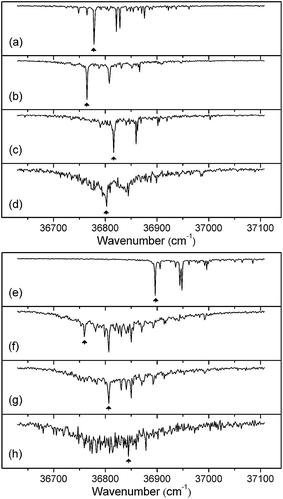
            R2PI
            spectra of the α (a–d) and β (e–h) anomers of phenyld-mannopyranoside. (a,e), the bare anomers; (b,f), (c,g) and (d,h), the mono-, di- and tri-hydrated complexes, α/β-PhMan·(D2O)1,2,3. The arrows indicate bands selected in recording the complementary IR-UV double resonance spectra presented in Fig. 3 and 4.