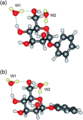 Molecular structure of the di-hydrates: (a) α-PhMan·(D2O)2 and (b) β-PhMan·(D2O)2.