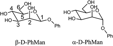 Molecular structures of phenyl α- and β-d-mannopyranoside.