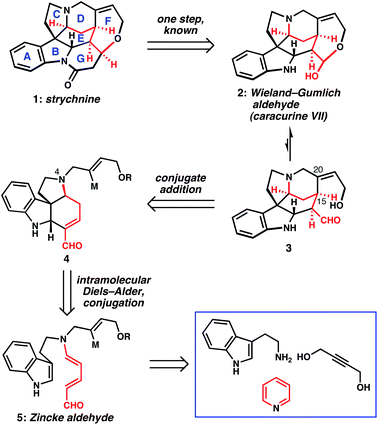 Retrosynthetic analysis of strychnine demonstrates the powerfully simplifying Zincke aldehyde cycloaddition disconnection (M = metal or suitable metal precursor).