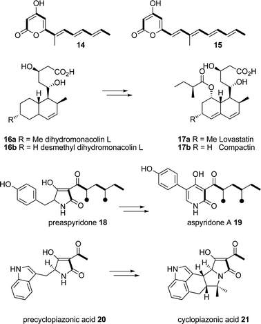Compounds observed as products of the lovastatin nonaketide synthase (LNKS) and the aspyridone (APDS) and cyclopiazonic acid (CPAS) synthetases.