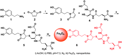 The synthetic route of the glutathione-decorated magnetic nanoparticles (for clarity, surfactants on the nanoparticle are not shown).