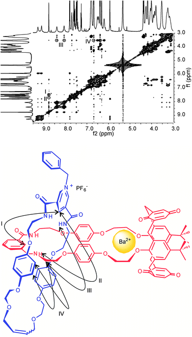 Partial 1H−1H ROESY NMR (500 MHz, CD2Cl2:CD3CN (4 : 1), 293 K) of N-benzyl catenane 5PF6 with 5 eq of Ba(ClO4)2. Cross couplings are shown in the schematic diagram below. See ESI for corresponding spectra of 4PF6.