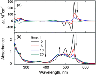 Traces of (a) CD and (b) absorption spectra of the purified PDA (50 μM) J-aggregates (mediated by l-tartaric acid) in water at 30 °C within 20 h.