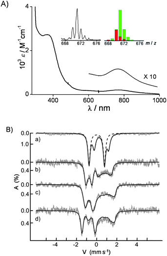 (A) UV-vis spectrum of 3 in CH3CN at −40 °C. The inset (top) shows the observed (left) and simulated (right) ESI MS spectra of 3 with mass peaks of [FeIV(O)(Me3NTB)(CF3SO3)]+ (40%, red bars) and [FeIII(OH)(Me3NTB)(CF3SO3)]+ (60%, green bars) under the ESI MS condition. The inset (bottom) shows the magnified absorption band at 770 nm. (B) Mössbauer spectra of 3 recorded at 4.2 K (a, b, and c) or 80 K (d) under a magnetic field of 60 mT (a), 5 T (b), or 7 T (c and d) applied parallel to the γ-ray. The solid lines are simulations using the parameters given in the text. In spectra b, c, and d, the contribution of the decay product of 3 was subtracted from the experimental spectrum for the sake of clarity.