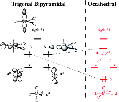 The valence electron orbitals of an ideal TBP structure (left) and of an octahedral structure (right). The four singly occupied orbitals in the TBP structure are close in energy, favouring a high-spin conformation due to favourable electron exchange interactions. Upon forming an octahedral structure (right), the degenerate δ and δ′ orbitals will split into a low and a high lying orbital, respectively.