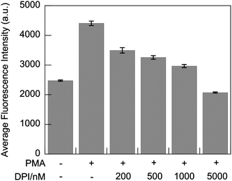 
            Flow cytometry
            detection of fluorescent emission intensity of PF1-derived fluorescein in PMA-stimulated RAW 264.7 macrophages. Cells were harvested after 30 min incubation in media containing G5-SNARF2-PF1-Ac and the indicated concentration of PMA and DPI. (λexc = 532 nm, λem = 500–550 nm). Error bars represent s.e.m.