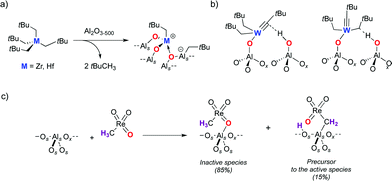 a) Grafting of M(CH2tBu)4 onto Al2O3-(500) leading to cationic species. b) Interactions of (AlSO)W(CtBu)(CH2tBu)2 with neighboring surface hydroxyls on alumina. c) Grafting of CH3ReO3 onto Al2O3-(500).