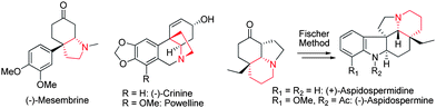 
          Natural products possessing a chiral pyrrolidine and piperidine moiety.
