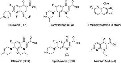 Exogenous photosensitisers acting as photocarcinogens.