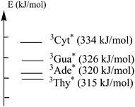 Energies of DNA bases determined at 77 K in ethylene glycol/H2O.42