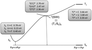 Triplet mediated formation of Pyr<>Pyr. Adapted from Serrano et al.103