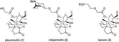 The molecular structures of pleuromutilin (1), retapamulin (2), and tiamulin (3).