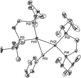 Molecular structure of [(dippe)Pt]2(μ-PPh) (12) with thermal ellipsoids shown at the 35% probability level. Hydrogen atoms omitted for clarity. Selected bond lengths (Å) and angles (°): Pt(1)–P(5) 2.299(3), Pt(2)–P(5) 2.309(3), Pt(1)–Pt(2) 2.7396(9), P(5)–C(51) 1.84(1); Pt(1)–P(5)–Pt(2) 53.36(8), P(4)–Pt(2)–P(3) 88.2(1), P(1)–Pt(1)–P(2) 88.2(1).