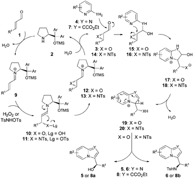 Mechanistic proposal for the one-pot reaction cascades.