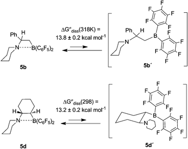 Dynamic behaviour of the N/B FLPs 5.