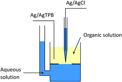 Schematic diagram of a SICM cell. The glass plate with an aperture separates and stabilizes the ITIES between top NB layer and bottom aqueous layer. The pipette is approaching the ITIES from NB phase.