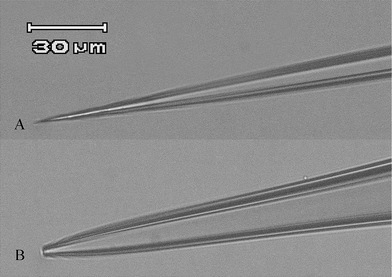 Optical microscopic images of different types of pipettes. (A) A pipette employed in SICM measurements; (B) a patch clamping pipette. (Scale bar = 30 μm).