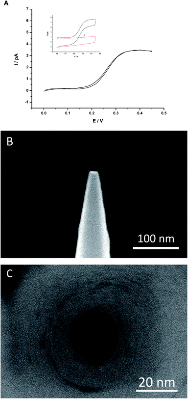 (A) The background-subtracted cyclic voltammogram of K+ transfer from water to DCE facilitated by DB18C6 using Cell A. The sweep rate was 50 mV s−1. (B) Side view SEM image of a nanopipette. (C) Top view SEM image of a nanopipette.