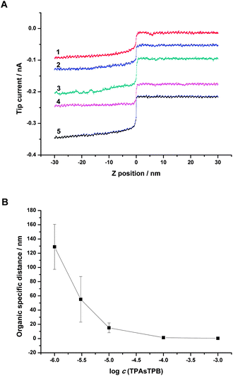 (A) SICM approach curves obtained with different concentrations of TPAsTPB in the top organic phase and constant composition of the aqueous phase (1 × 10−4 M LiCl in water). Concentration of TPAsTPB in the organic phase was (1) 1 × 10−6, (2) 3 × 10−6 (moved down 0.04 nA), (3) 1 × 10−5 (moved down 0.08 nA), (4) 1 × 10−4 (moved down 0.15 nA), (5) 1 × 10−3 (moved down 0.20 nA) M. The solution filled in the pipette was the same as bottom aqueous phase. The tip potential was −0.8 V vs.Ag/AgCl. Scan rate was 50 nm s−1. (B) Organic specific distance for different concentrations of TPAsTPB in NB. Error bars are indicated by vertical lines through the data points and are smaller than the symbols when not visible.