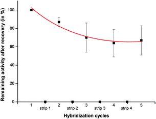 Normalized activity of the immobilized enzyme after one to five hybridization/dehybridization cycles (with respect to the first measurement). Each point represents an average of 3 measurements obtained from different microchannels with immobilized DNA-CalB. The data points strip 1–4 correspond to the activity of the microchannel after removal of DNA-CalB.