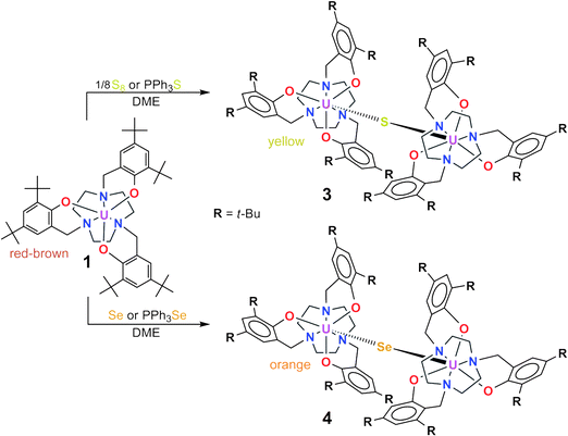 Syntheses of U(iv) sulfide-bridged (3) and U(iv) selenide-bridged (4) complexes of the tacn-based ligand system.