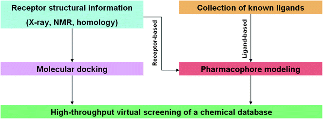 Schematic flowchart outlining the two major strategies employed in in silico virtual screening.