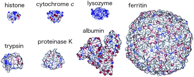 Representative examples of protein guests. Reprinted with permission from ref. 3. Copyright 2006, American Chemical Society.