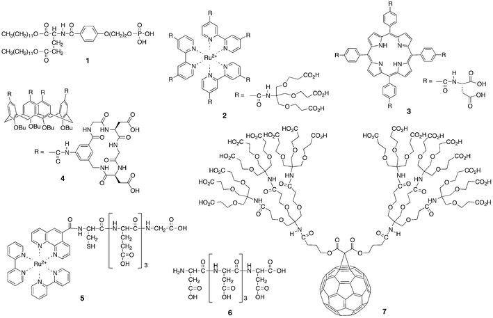 Representative synthetic receptors of cytochrome c.