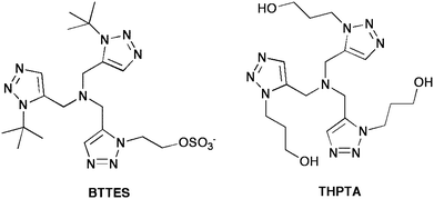 Two examples of water-soluble amine ligands used for purely aqueous click chemistry. The BTTES ligand was developed by the Wu group, and THPTA was first used by Finn.