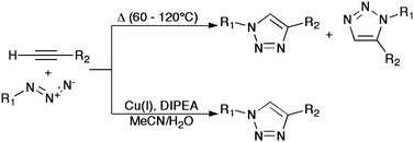 The thermal (top) and copper-promoted azide–alkyne click reactions.