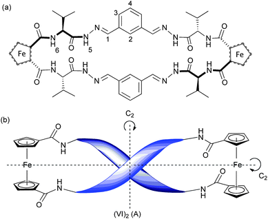Proposed structure of isomer A of (VI)22: (a) shown from above and (b) represented schematically from a side view.