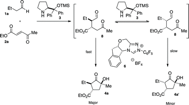 Proposed Mechanism