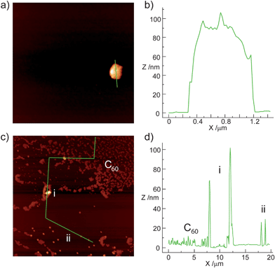
          AFM imaging of a) dropcast of a saturated solution of exTTFAuNPs in 1,2-dichlorobenzene, showing a cluster of nanoparticles and c) dropcast of a saturated solution of exTTFAuNPs incubated with C60 for 2h prior to dropcasting. b) and d) show profiles along the green lines in a) and c), respectively.