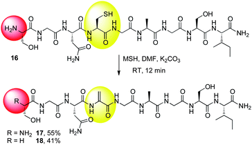 
              N-terminal deamination using MSH on a model peptide.