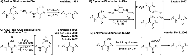 Representative methods for the incorporation of dehydroalanine into peptides and proteins.