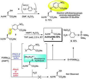 Model reduction–elimination of cysteine disulfide.