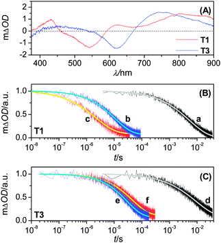 (A) Transient absorption spectra upon laser excitation at 500 nm of 2.8-μm-thick, dye-coated titania films immersed in an inert electrolyte composed of 0.1 M LiTFSI and 0.5 M TBP in acetonitrile. (B, C) Transient absorption kinetics of 10.0 μm-thick, dye-coated titania films immersed in the inert (traces a and d), cobalt (traces b and e) or iodine (traces c and f) electrolyte. Excitation wavelength and pulse fluence: 51 μJ cm−2 at 580 nm (traces a, b, and c); 46 μJ cm−2 at 640 nm (traces d, e, and f). The smooth lines are stretched exponential fittings over raw data obtained by averaging over 500 laser shots.