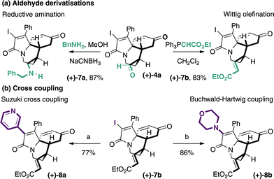 Orthogonal manipulation of functionality (a) cat. Pd2dba3, XPhos, 3-pyridine boronic acid, K3PO4, n-BuOH, 100 ˚C, (b) cat. Pd2dba3, BINAP, morpholine, Cs2CO3, PhMe, 120 ˚C.