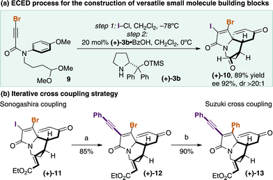 Towards the synthesis of novel complex scaffolds with selectively manipulated functionality (a) cat. PdCl2(OAc)2, CuI, phenylacetylene, Et3N, PhH, 60 ˚C; (b) cat. Pd(OAc)2, PPh3, phenylboronic acid, K2CO3, PhH-H2O, 60 ˚C.