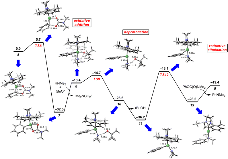 Gibbs free energy diagram of Ni-catalyzed amination of N,N-dimethylphenylcarbamate and dimethylamine. Energies are given in kcal mol−1.