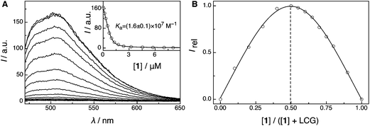 (A) Direct fluorescence titration of LCG (1 μM) with 1 (up to 8 μM) in 10 mM sodium perchlorate at pH 7, λex = 460 nm. The inset shows the associated titration curve, λem = 505 nm, and fit according to a 1 : 1 binding stoichiometry. (B) Job's plot for solutions of 1 and LCG in 100 mM phosphate buffer at pH 2, λex = 365 nm, λem = 505 nm, [1] + [LCG] = 8 μM.