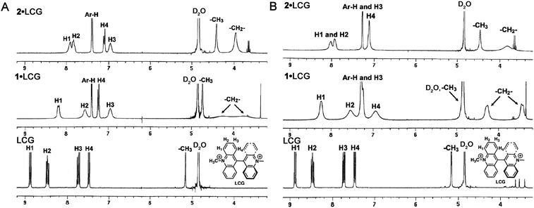 
            1H NMR spectra (all scales in δ (ppm)) of LCG (10 mM) with no additive or upon addition of 1 and 2 (10 mM) in deuterated sodium phosphate buffers at (A) pD 2 and (B) pD 7.2. The 1H NMR spectrum with 3 (10 mM) at pD 2 could not be recorded due to precipitation, while the spectrum at pD 7.2 can be found in Fig. S6 of the ESI. ‘Ar–H’ and ‘–CH2–’ represent the aromatic and methylene bridge protons of the calixarenes, respectively.