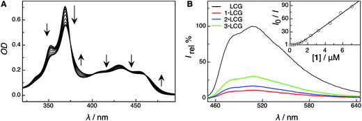 (A) Absorption spectra of LCG (20 μM) titrated with up to 60 μM 2 in 100 mM sodium phosphate buffer, pH 7.2; (B) fluorescence spectra of LCG (1 μM) in the absence of additives (100%) and upon addition of 10 μM 1, 2, and 3 in 100 mM phosphate buffer, pH 2, λex = 368 nm. The inset shows the corresponding Stern–Volmer plot for calixarene 1; the deviation from linearity and upward curvature is characteristic for static quenching (fitted according to a 1 : 1 complexation model).