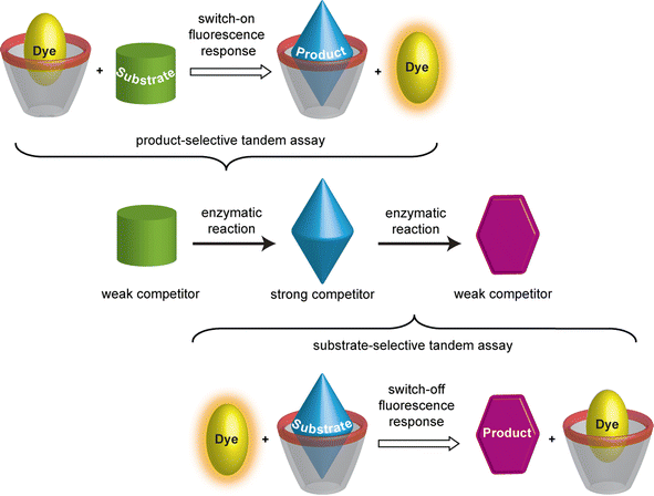 Schematic representation of a product- and substrate-selective tandem assay involving fluorescent dyes and calixarenes as macrocycles.