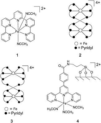 The structures of 1–4.